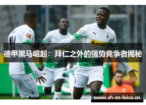 德甲黑马崛起：拜仁之外的强势竞争者揭秘